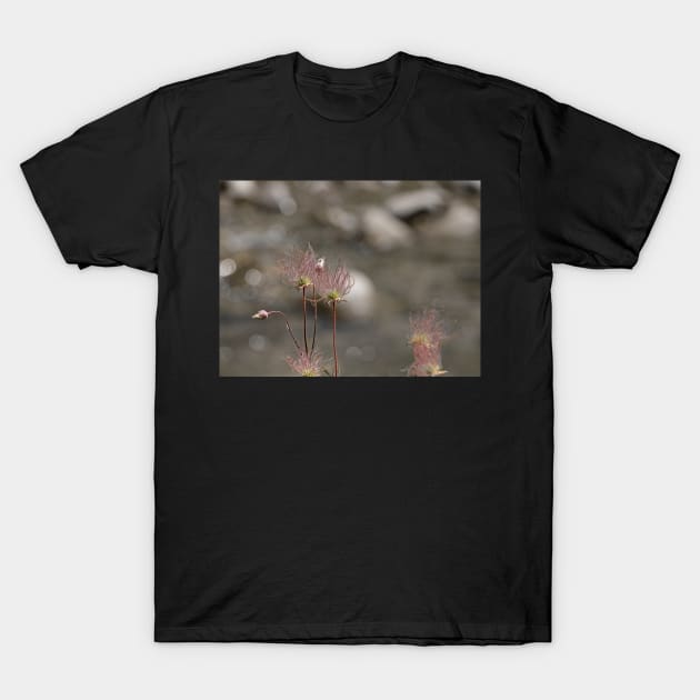 Seed pods T-Shirt by EileenMcVey